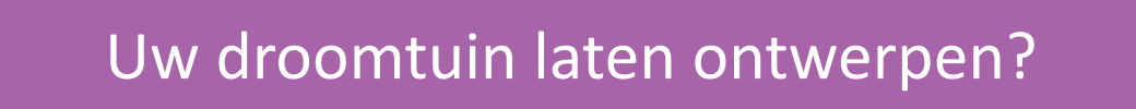 Laat uw droomtuin ontwerpen door Berends Groencentrum
