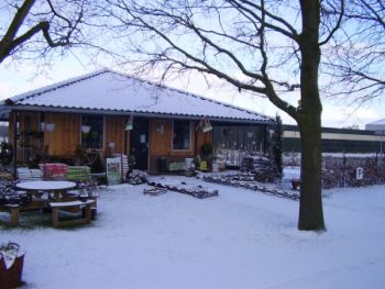 winkel winter Berends Groencentrum